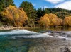 New Zealand